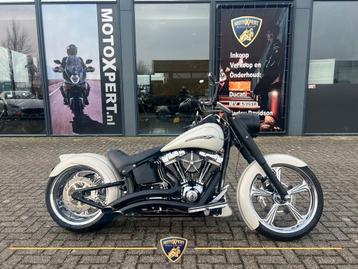 HARLEY-DAVIDSON FAT BOY FLSTF (2007) 5HD | CVO 110 | STAGE 4 beschikbaar voor biedingen