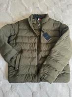 Tommy Hilfiger winterjas, Kleding | Heren, Jassen | Winter, Tommy Hilfiger, Nieuw, Overige maten, Ophalen of Verzenden