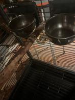 Vogelkooi, Ophalen, Metaal, Vogelkooi