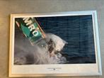 Volvo ocean race poster ingelijst, Antiek en Kunst, Ophalen