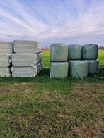 Ronde balen hooi, Dieren en Toebehoren, Dierenvoeding, Ophalen, Vee