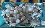 Romantische kerstballen, armeluis zilver,  Riverdale enz, Diversen, Kerst, Ophalen