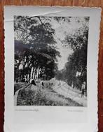 FOTO SOMMELSDIJK 1902 COR JOPPE, Verzamelen, Foto's en Prenten, Ophalen of Verzenden, Voor 1940