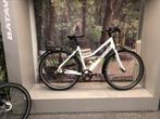Santos Travel Lite 53 Gebruikt. Rohloff Son Gates Belt Drive, Overige merken, 28 inch, 10 tot 15 versnellingen, .