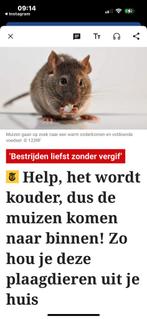 NetNox muizen/rattengaas (10mtr rol), Tuin en Terras, Gaas en Draad, Ophalen, Nieuw, 10 tot 20 meter, Gaas