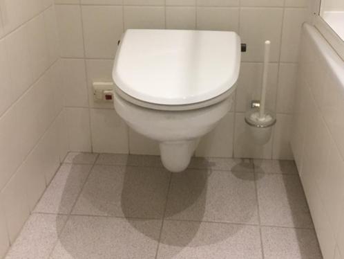 Sphinx toiletpot met Geberit toiletdouche, Doe-het-zelf en Verbouw, Sanitair, Gebruikt, Toilet, Steen, Ophalen of Verzenden