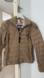 parajumpers, Ophalen of Verzenden, Maat 46 (S) of kleiner