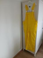 Carnavalskleding!, Kleding | Heren, Overige Herenkleding, Ophalen, Gedragen