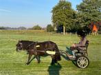 Sulky voor Shetlander, Dieren en Toebehoren, Gebruikt, Sulky, Pony, Gesloten