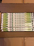 nieuwe ProLight 8W T5 Cool White lampen (4100K) 30 cm, Minder dan 30 watt, Prolight, Overige typen, Nieuw