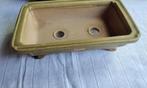 Bonsai Pot Schaal Geel Groen geglazuurd 19x11,5x4,5cm, Tuin en Terras, Bloempotten, Rond, Nieuw, Aardewerk, Tuin