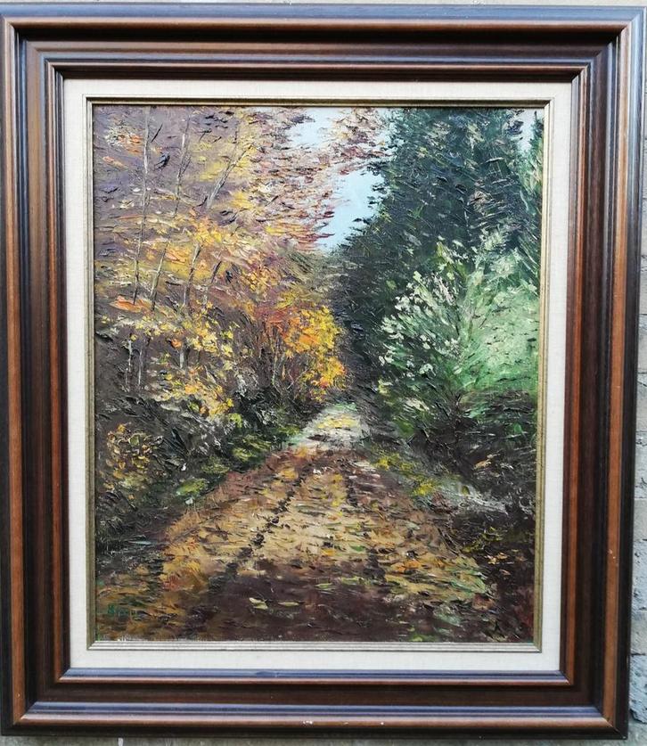 Realistisch bosgezicht. Pasteus. Olie/doek. 70/80 cm., Antiek en Kunst, Kunst | Schilderijen | Klassiek, Ophalen