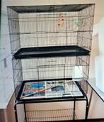 Vogelkooi /kweekkooi/ziekenkooi, Ophalen, Zo goed als nieuw, Kooi-accessoires