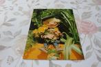 Postkaart - Sandmännchen met gele Bloemen, Duitsland, Verzenden, 1960 tot 1980, Ongelopen, Sterren en Beroemdheden