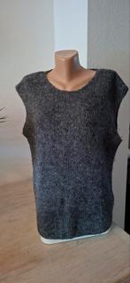 Grijze spencer /mouwloze trui gebreid. Kaffe maat 40.
Nieuw., Maat 38/40 (M), Kaffe, Nieuw, Ophalen of Verzenden