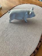 Leuk varkentje, Ophalen of Verzenden, Zo goed als nieuw