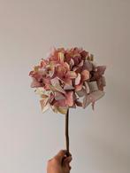 Kunst Zijde Hortensia - Gedroogd - 50cm, Huis en Inrichting, Woonaccessoires | Droogbloemen, Ophalen, Nieuw