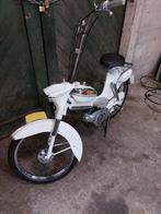 puch vs 50 kikkerbek 1965, Ophalen, Gebruikt, Overige modellen
