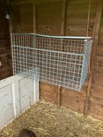 Hooiruif ruif geiten schapen, Dieren en Toebehoren, Vrouwelijk, Schaap