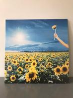 Stone Temple Pilots vinyl 2LP, Verzenden, Zo goed als nieuw, 12 inch, Alternative