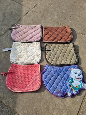 Dekjes Full en Cobb pony beschikbaar voor biedingen
