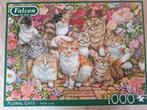 Falcon Puzzel - Katten en Bloemen - 1000 stukjes, Hobby en Vrije tijd, Denksport en Puzzels, Ophalen of Verzenden, 500 t/m 1500 stukjes