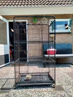 Mooie kooi, Ophalen, Kooi, Gebruikt, 90 cm of meer