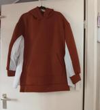 Roestbruine Trui/Sweater draagbaar vanaf 44/46, Ophalen of Verzenden, Nieuw, Maat 46/48 (XL) of groter, Overige kleuren