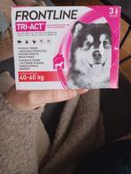 Frontline 2 pipetten hond 40-60kg, Dieren en Toebehoren, Ophalen of Verzenden, Nieuw