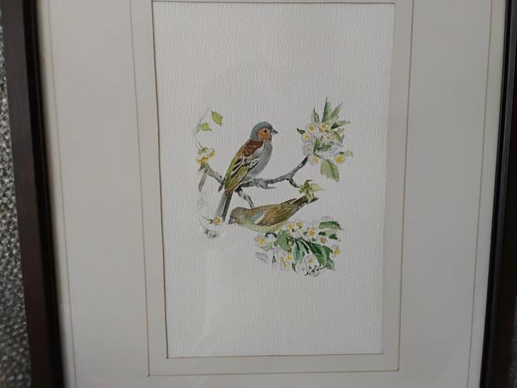 Aquarel A.M.Lariby hofschilderes 2 vogels op een tak., Antiek en Kunst, Kunst | Etsen en Gravures, Ophalen of Verzenden