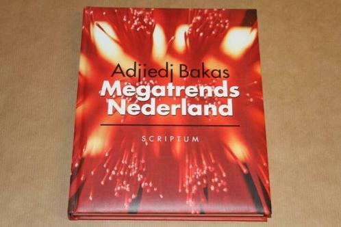 Megatrends Nederland, Boeken, Politiek en Maatschappij, Zo goed als nieuw, Maatschappij en Samenleving, Nederland, Ophalen of Verzenden