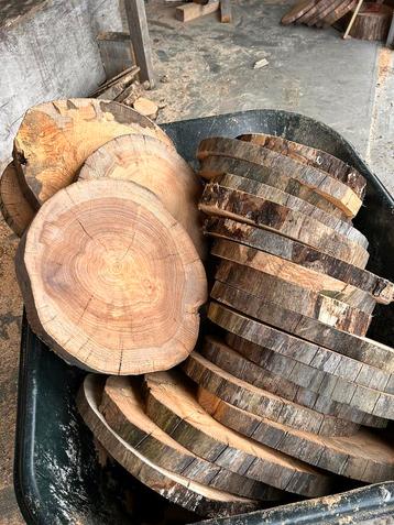 Boomstamschijf, 40cm diameter beschikbaar voor biedingen