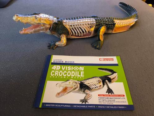 Krokodil 4D Vision Anatomiemodel (Compleet), Verzamelen, Dierenverzamelingen, Zo goed als nieuw, Beeldje of Figuurtje, Verzenden