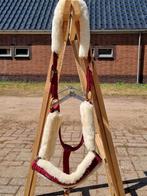 Eskadron halster maat ful rood, Dieren en Toebehoren, Paarden en Pony's | Hoofdstellen en Tuigage, Ophalen of Verzenden, Zo goed als nieuw