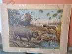 IN HET GEBIED VAN DEN BOVEN-NIJL schoolplaat Afrika Vintage, Antiek en Kunst, Antiek | Schoolplaten, Ophalen, Natuur en Biologie