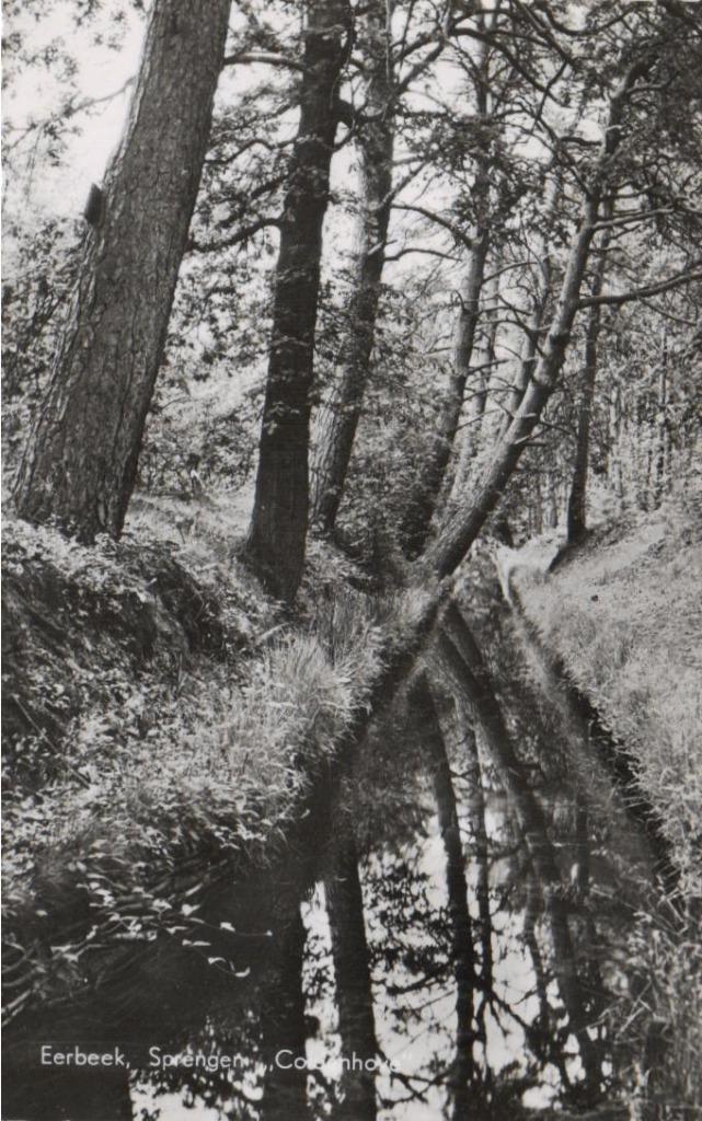 098 Eerbeek Sprengen Coldenhove 1958, Verzamelen, Ansichtkaarten | Nederland, Gelopen, Gelderland, 1940 tot 1960, Ophalen of Verzenden