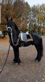 17,5 inch zwart/wit dressuurzadel, Dieren en Toebehoren, Paarden en Pony's | Zadels, Ophalen of Verzenden, Zo goed als nieuw, Dressuur