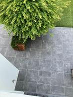 keramische tegels 60 x60x2cm nieuw 40 stuks lichtgrijs, Tuin en Terras, Tegels en Klinkers, Ophalen, Keramiek, Nieuw, 10 m² of meer