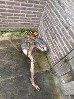 Honda VFR 800 VTEC Uitlaat 2002, Ophalen, Gebruikt, Honda