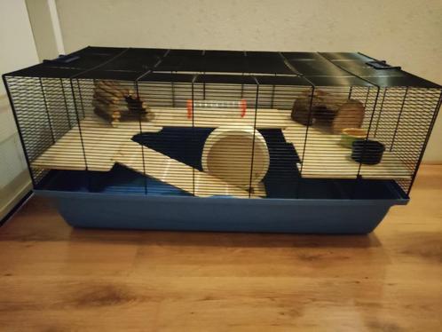 Kooi voor hamster, Dieren en Toebehoren, Knaagdieren en Konijnen | Hokken en Kooien, Gebruikt, Kooi, Minder dan 60 cm, 75 tot 110 cm