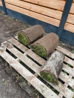 GRATIS Graszoden op rol, Tuin en Terras, Gras en Kunstgras, Ophalen, Zo goed als nieuw, Minder dan 10 m², Gras