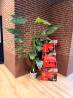 IDW DW8500 PRO Benzine Generator - Huttenberg, Doe-het-zelf en Verbouw, Aggregaten, Benzine, Nieuw, Ophalen of Verzenden, Geluidgedempt