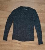 Vest met glitters, Ophalen of Verzenden, Zo goed als nieuw, Maat 36 (S), Grijs