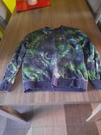 Jongens trui Arizona maat 170-176 WE (blauw/groen), Ophalen, Gebruikt, Trui of Vest, Jongen