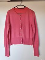 Cashmere vestje., Kleding | Dames, Truien en Vesten, Ophalen of Verzenden, Zo goed als nieuw