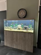 Mooi compleet CIano Emotions PRO 150, Dieren en Toebehoren, Vissen | Aquaria en Toebehoren, Ophalen, Zo goed als nieuw