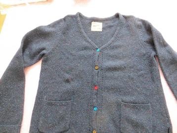 vest/Blauw/Mistral/ beschikbaar voor biedingen
