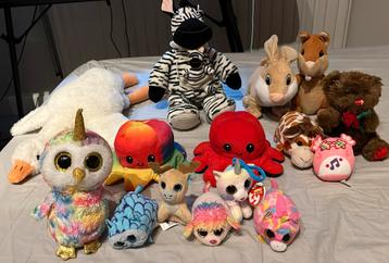 Knuffels beschikbaar voor biedingen