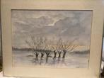 Aquarel Knotwilgen in het water  - gesigneerd, Antiek en Kunst, Ophalen of Verzenden