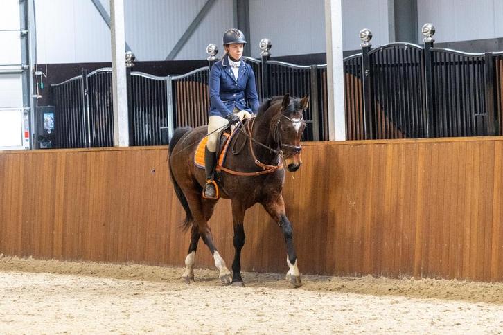 Allround instructrie/paardrijles aangeboden, Diensten en Vakmensen, Dieren | Paarden | Verzorging, Oppas en Les, Gedragstraining